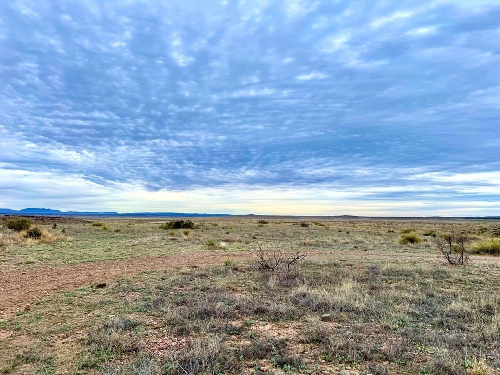 99.53 acres in Presidio County - photo 5