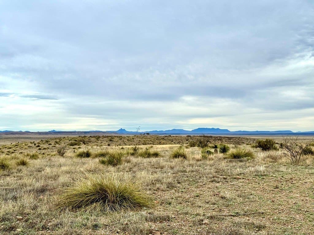 99.53 acres in Presidio County - photo 4