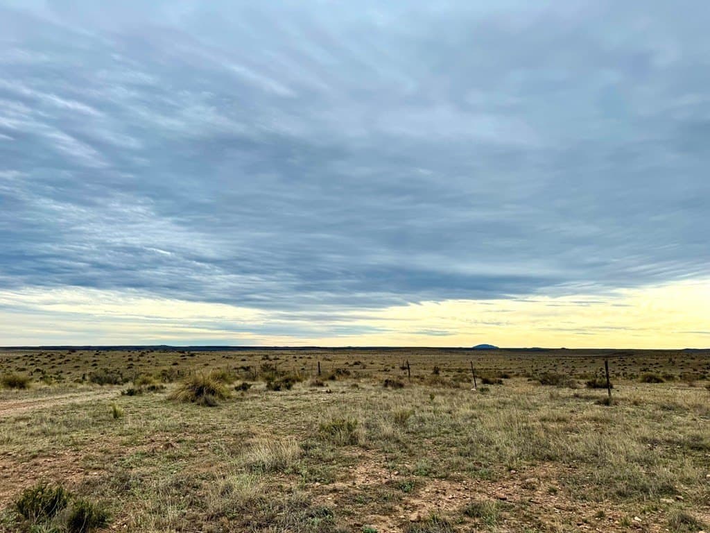 99.53 acres in Presidio County - photo 3