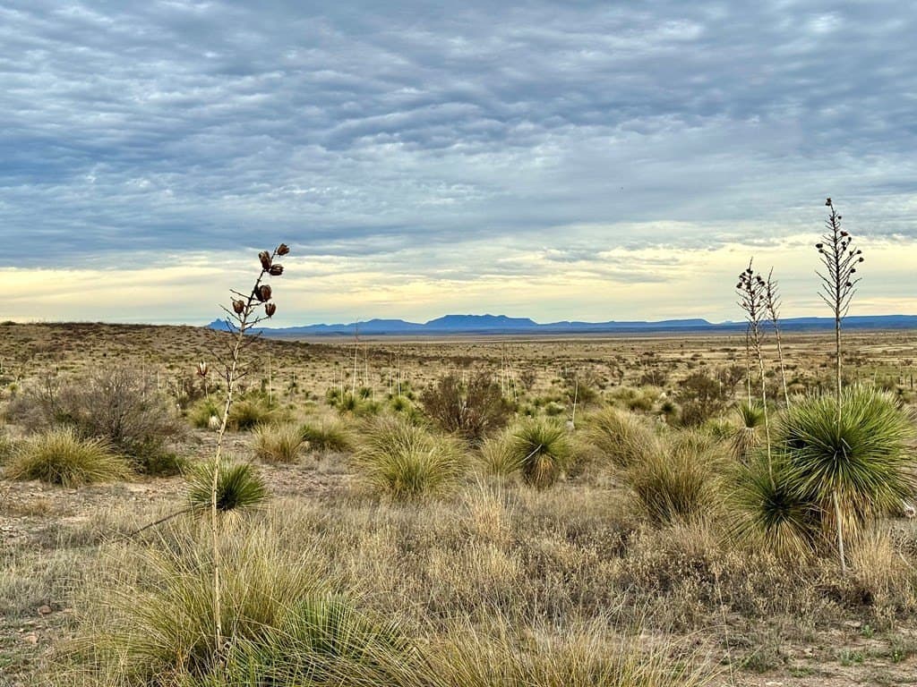 99.53 acres in Presidio County - photo 11