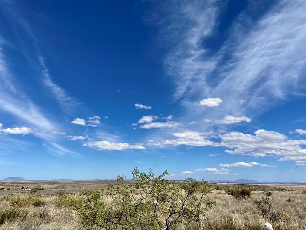 99.53 acres in Presidio County - photo 25