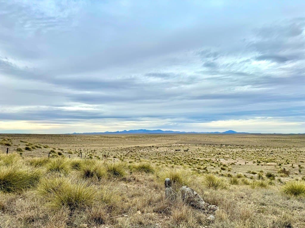 99.53 acres in Presidio County - photo 2