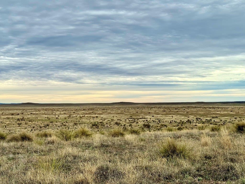 99.53 acres in Presidio County - photo 10