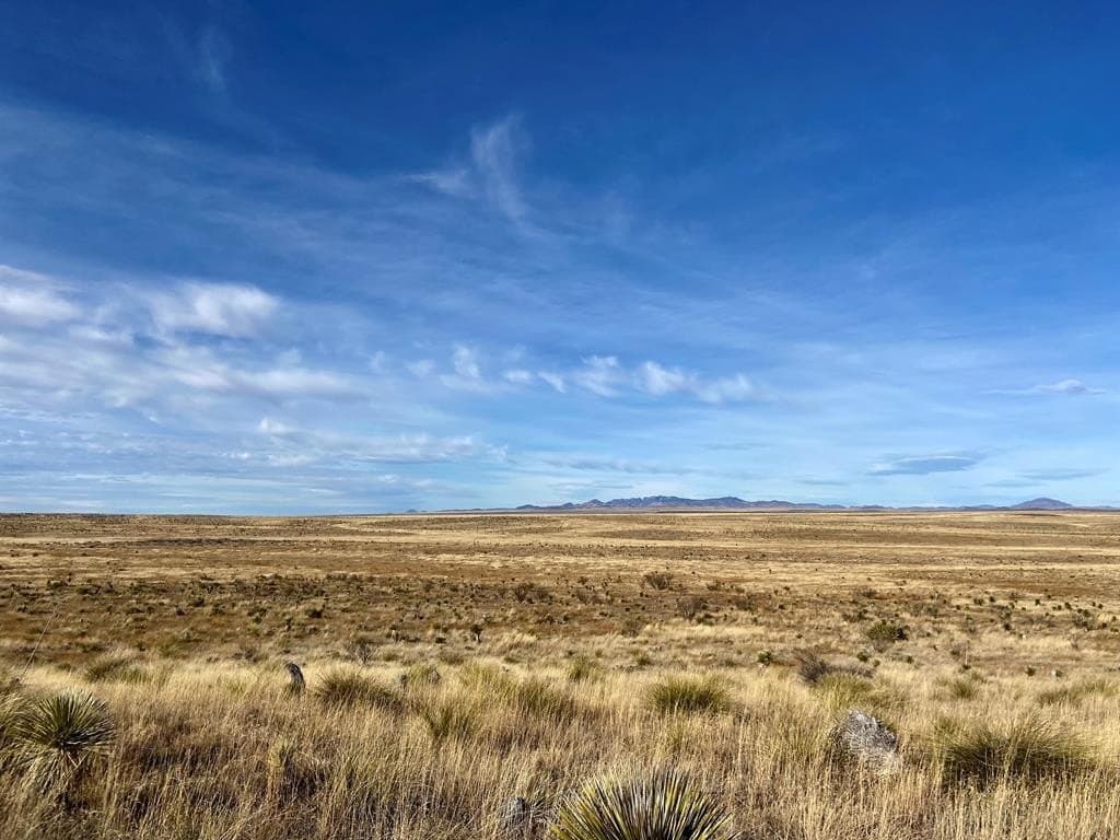 99.53 acres in Presidio County - photo 21