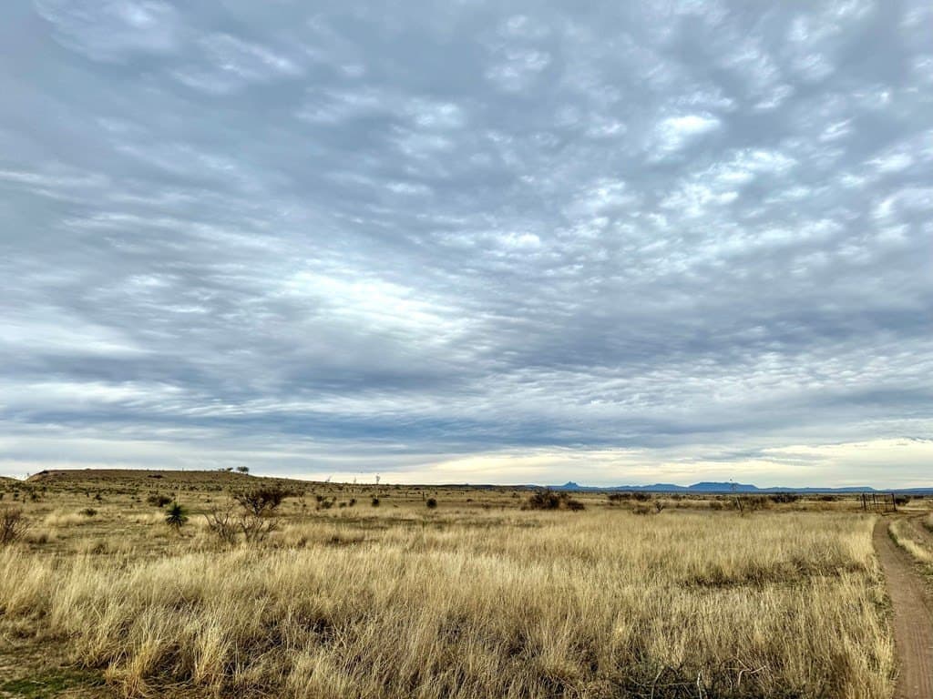 99.53 acres in Presidio County - photo 12