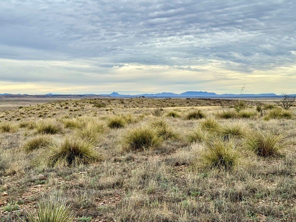 99.53 acres in Presidio County - photo 6