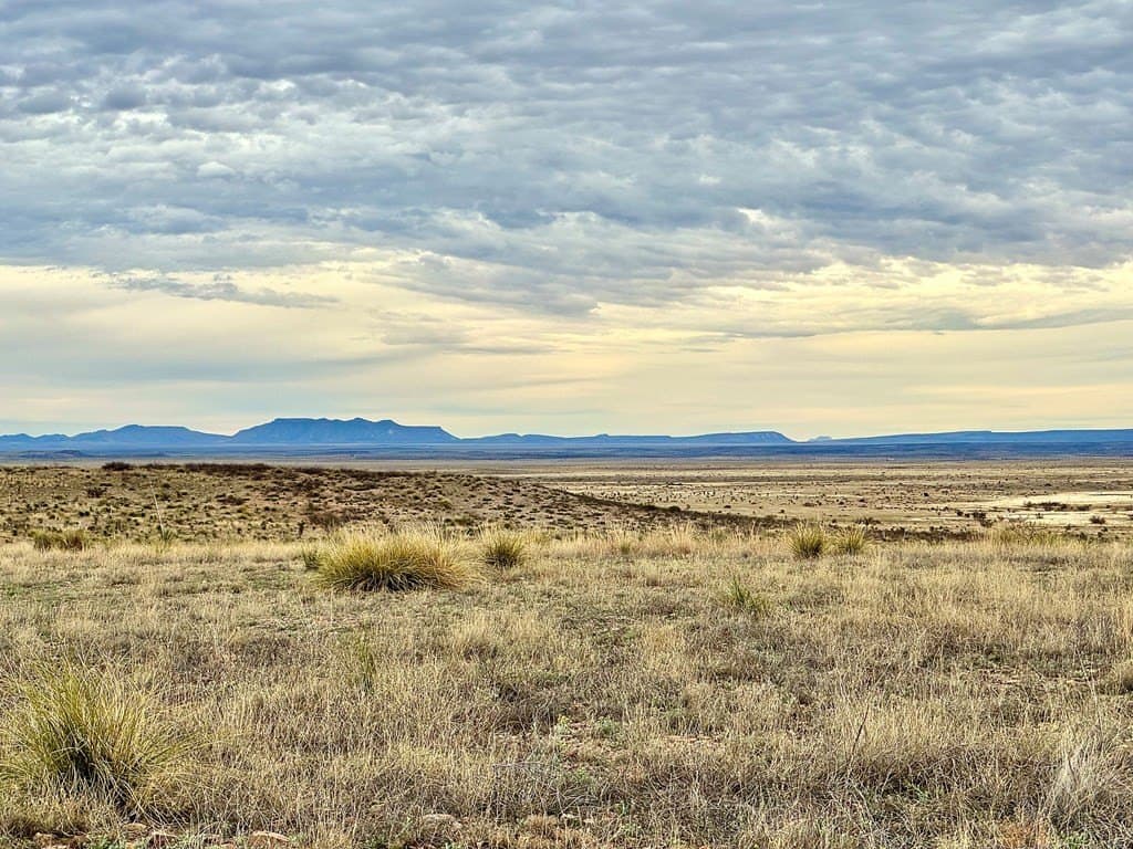 99.53 acres in Presidio County - photo 8