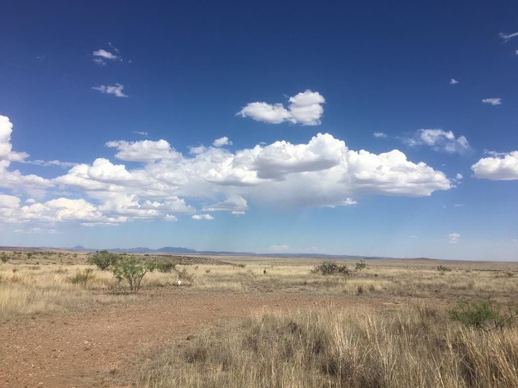 99.53 acres in Presidio County - photo 24