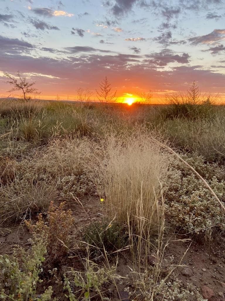 99.53 acres in Presidio County - photo 18