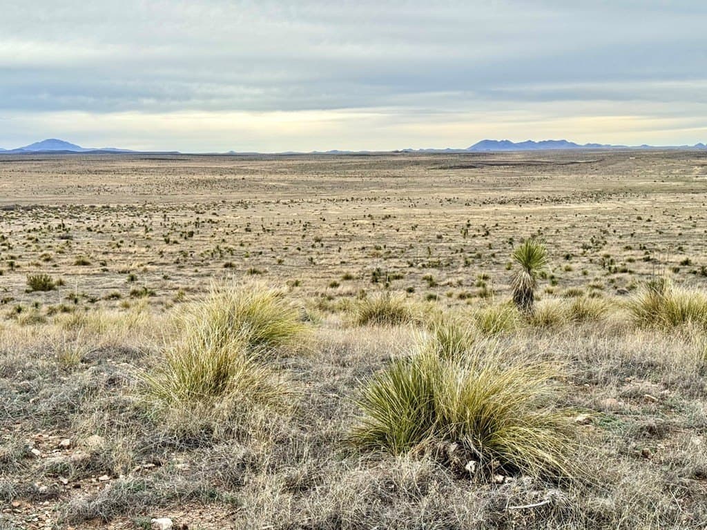 99.53 acres in Presidio County - photo 7