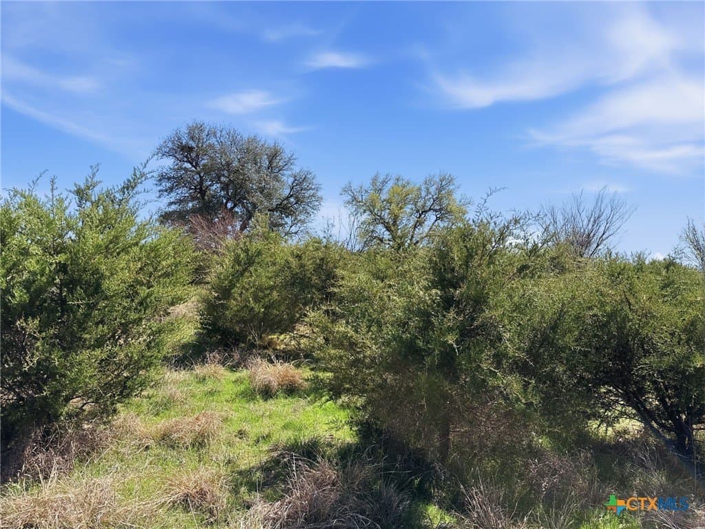25.28 acres in Hamilton County - photo 3