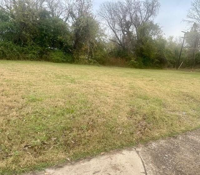 0.09 acres in Dallas County - photo 2
