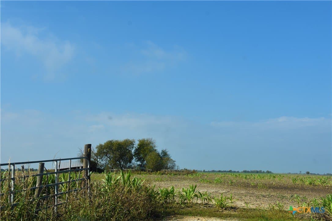 123.25 acres in Falls County - photo 2