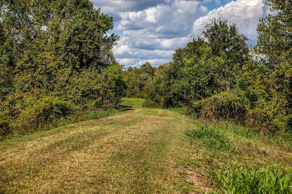 24.6 acres in Washington County - photo 5