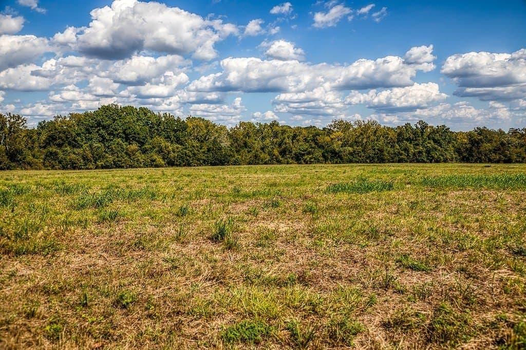 24.6 acres in Washington County - photo 6