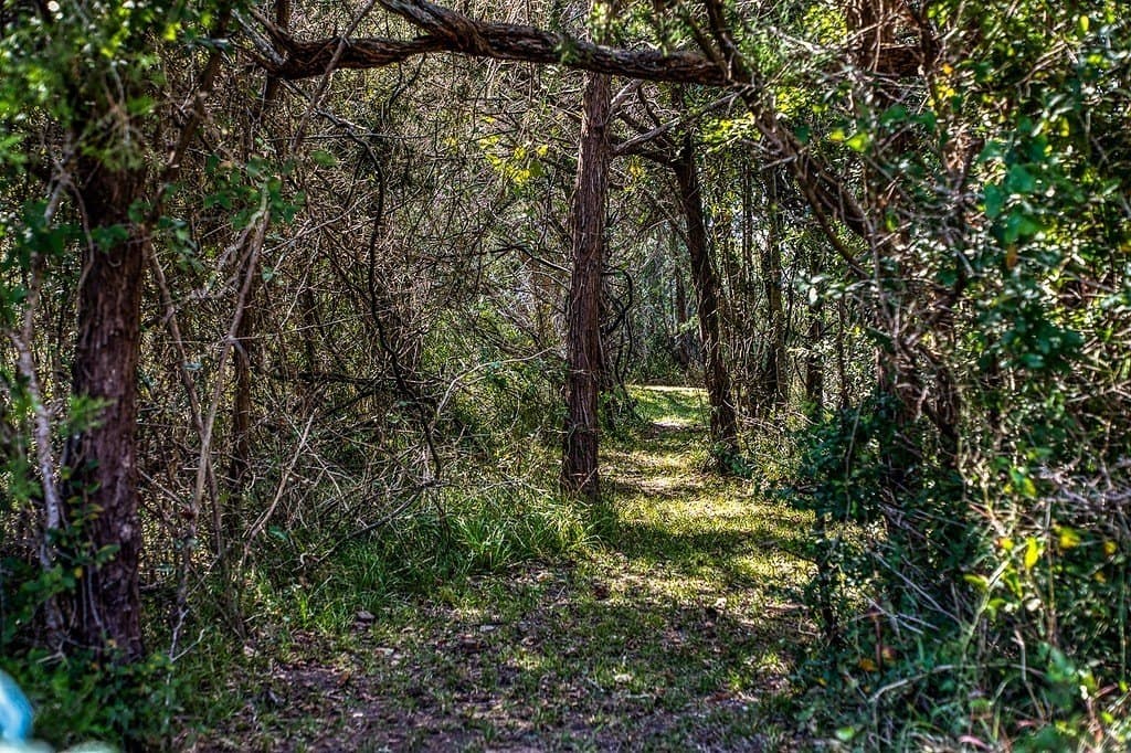 24.6 acres in Washington County - photo 23