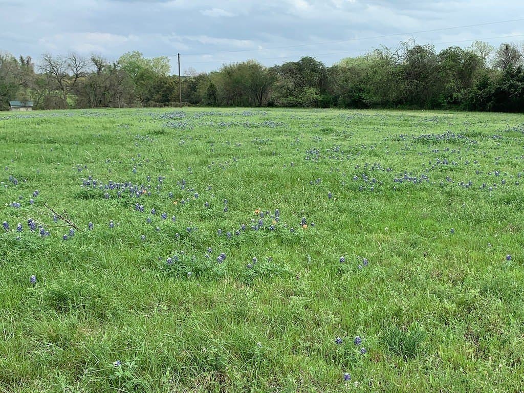 24.6 acres in Washington County - photo 3