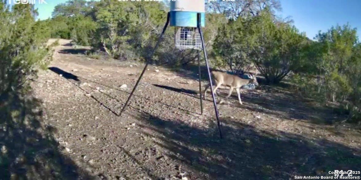 48 acres in Edwards County - photo 17