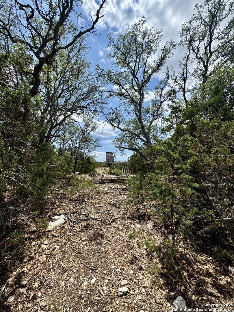 48 acres in Edwards County - photo 19