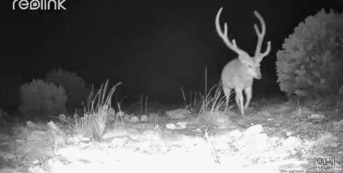 48 acres in Edwards County - photo 9