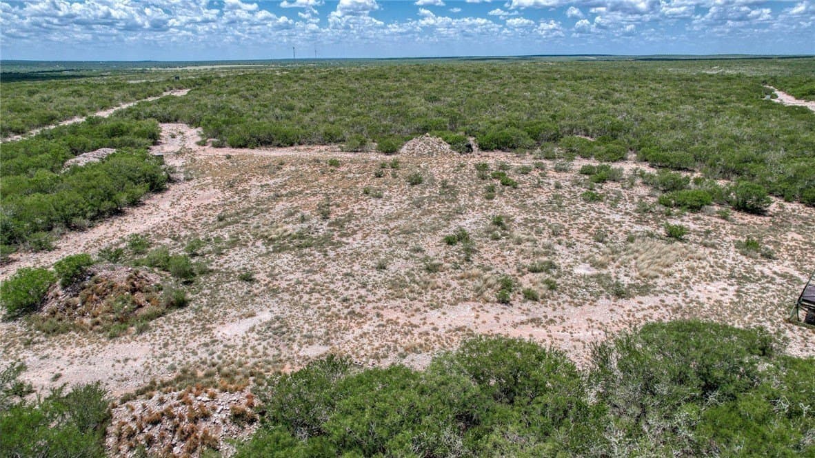 25 acres in Duval County - photo 11