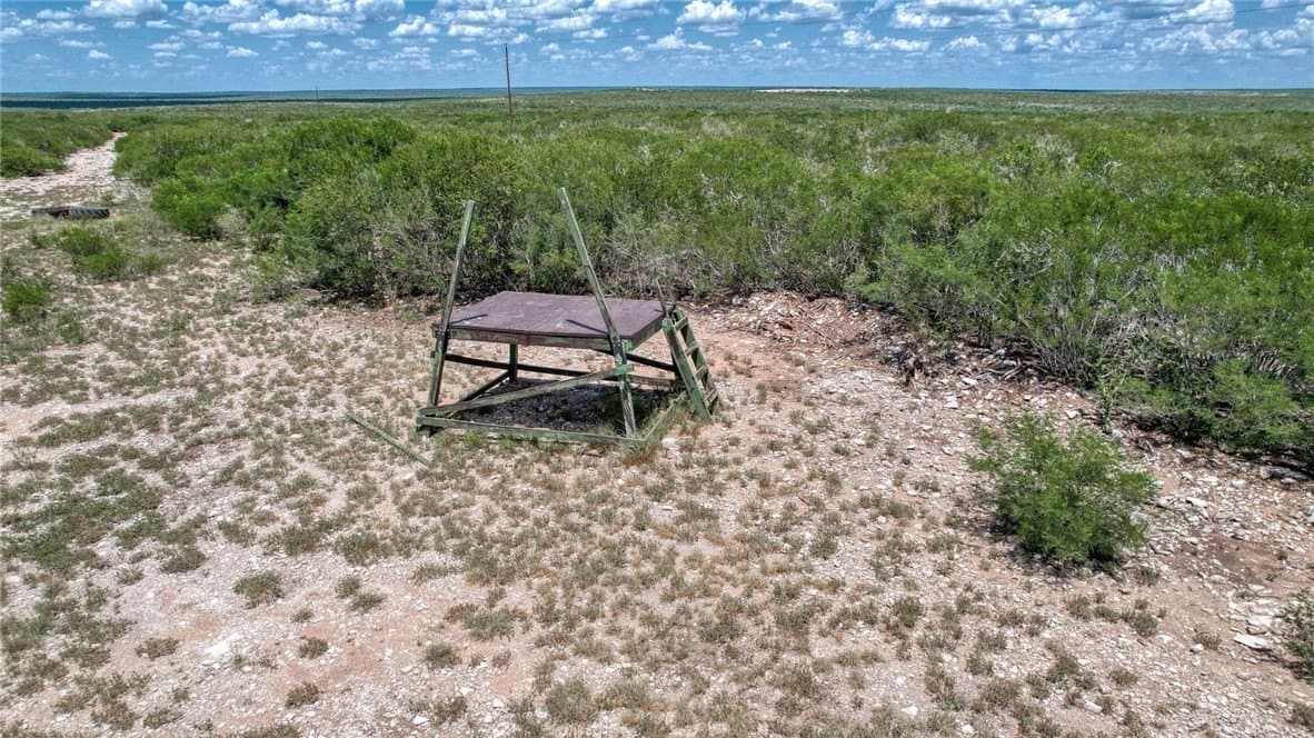 25 acres in Duval County - photo 9