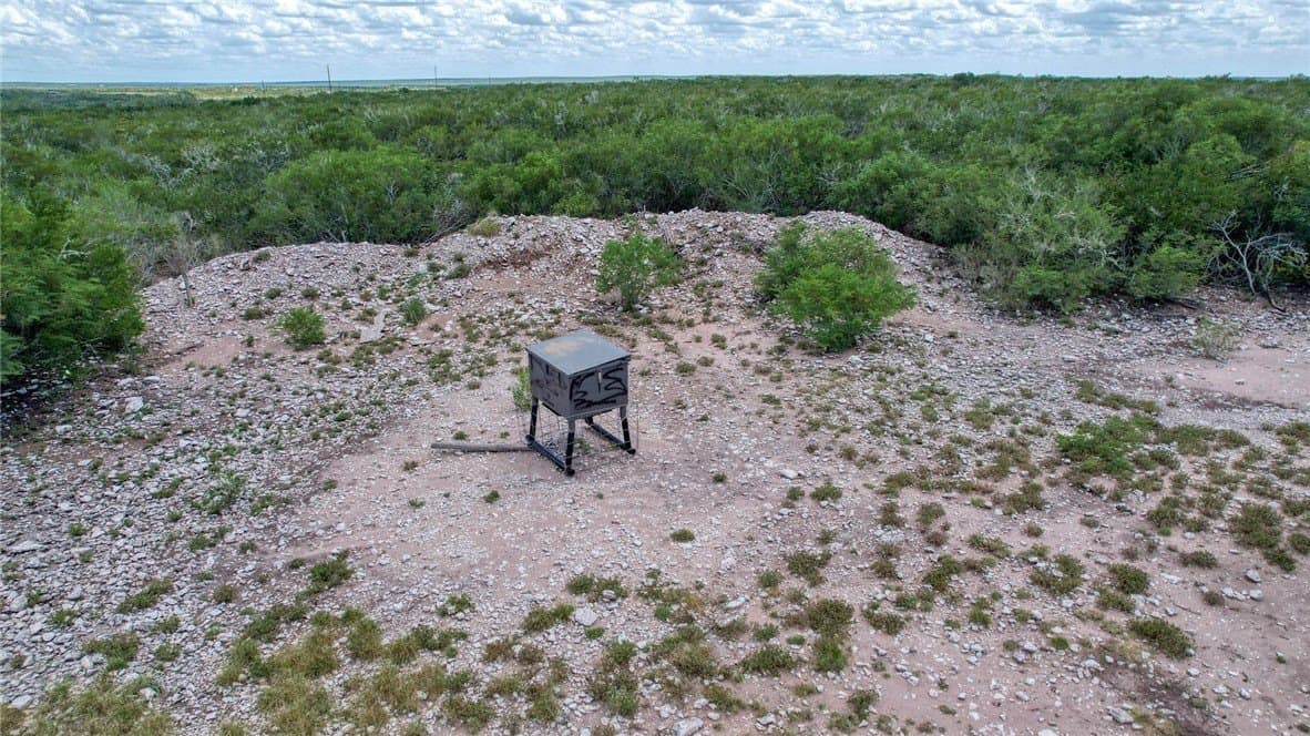 25 acres in Duval County - photo 19