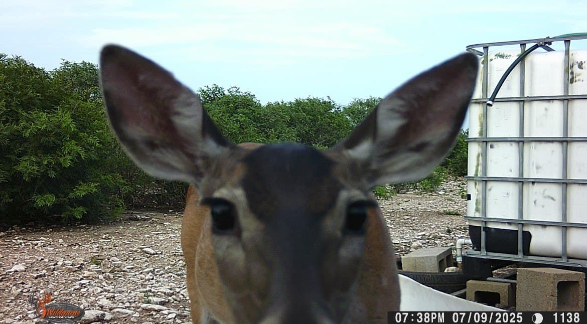 25 acres in Duval County - photo 36
