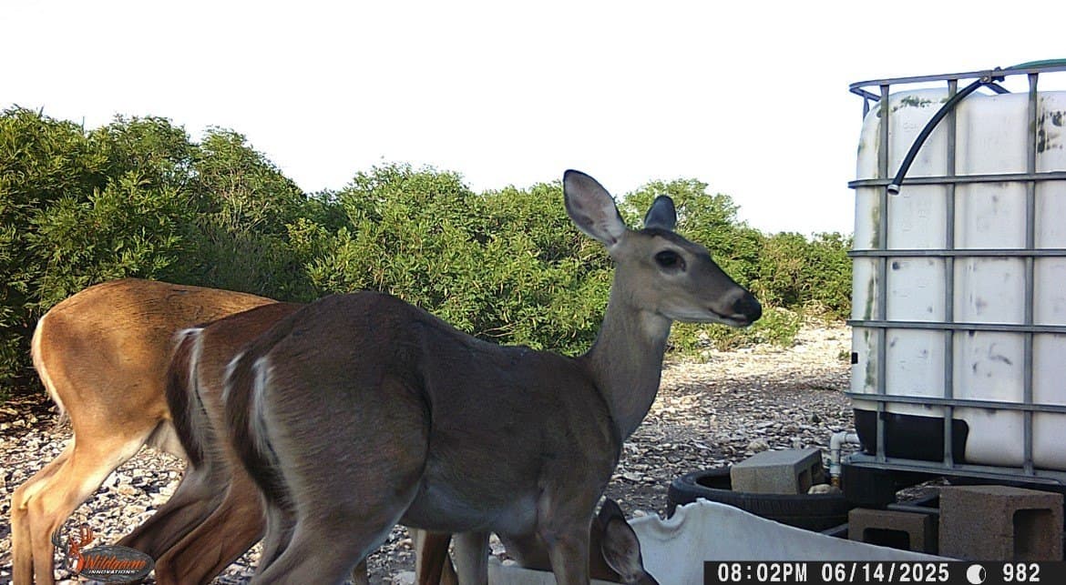 25 acres in Duval County - photo 35