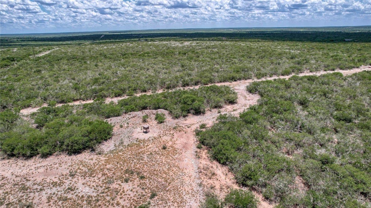25 acres in Duval County - photo 12