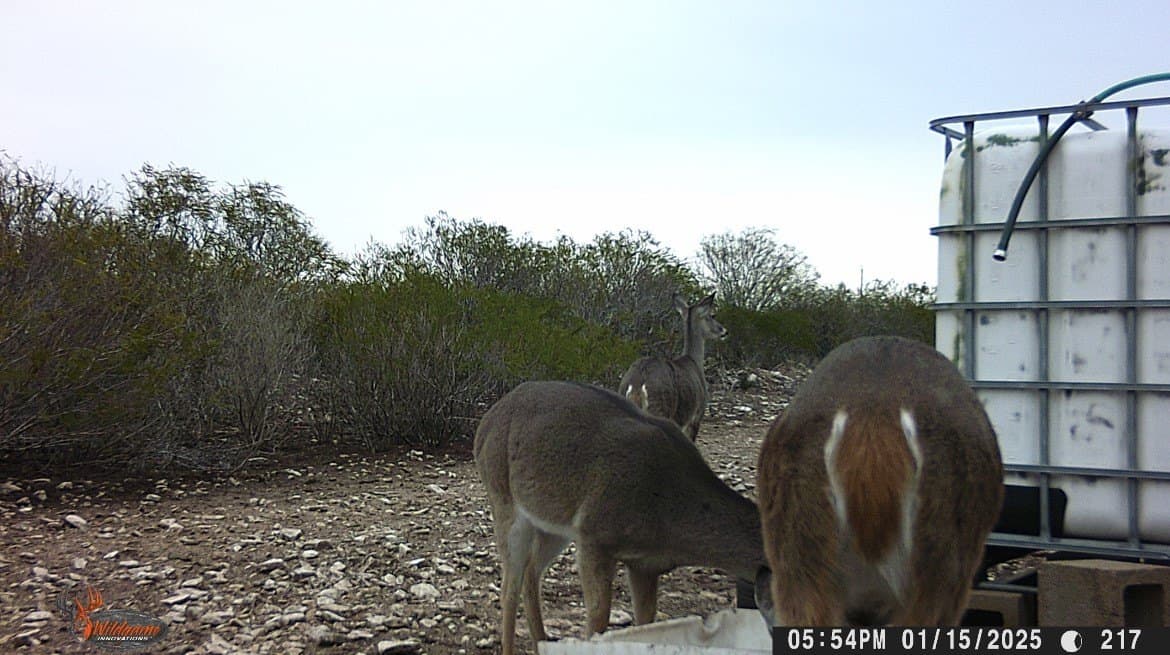 25 acres in Duval County - photo 31