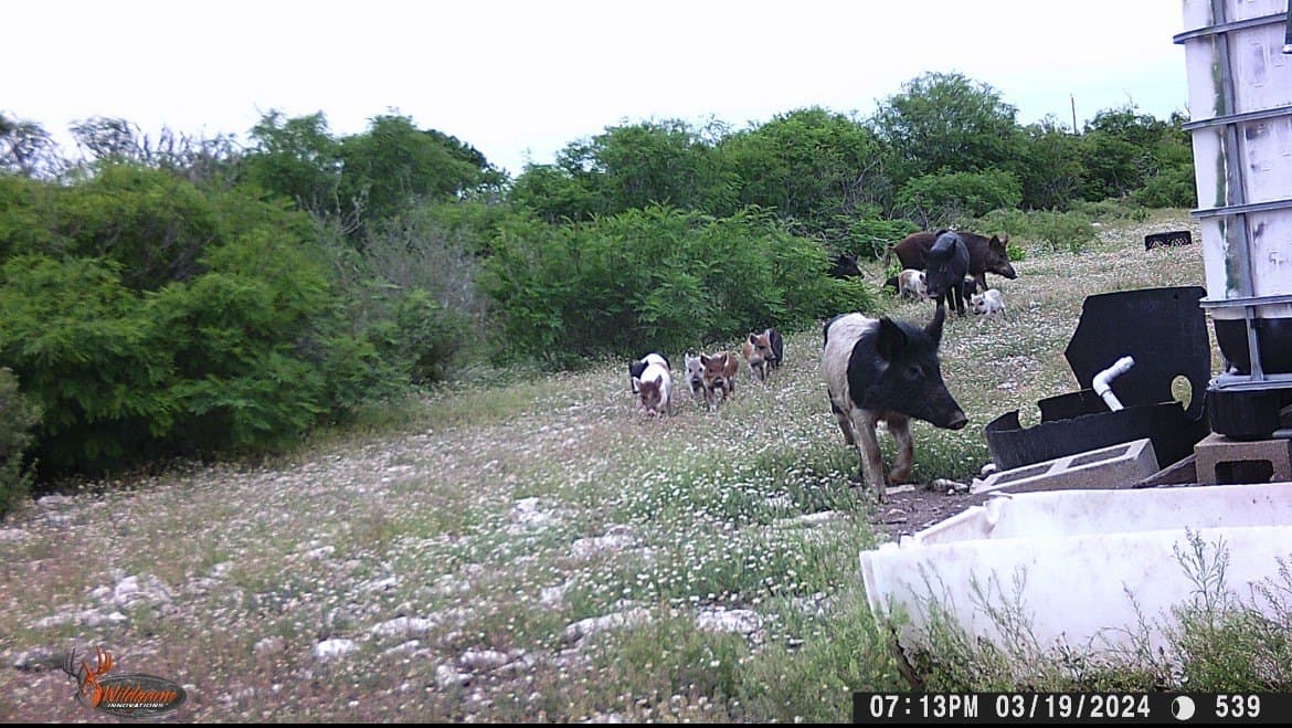 25 acres in Duval County - photo 25