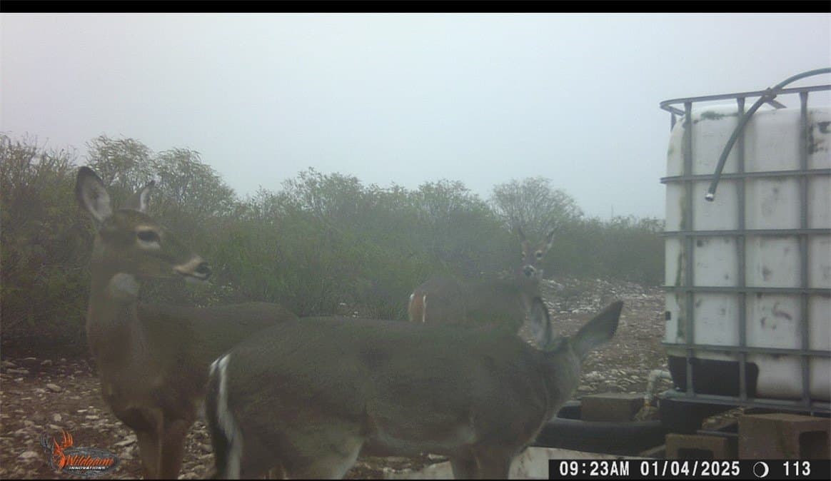 25 acres in Duval County - photo 29