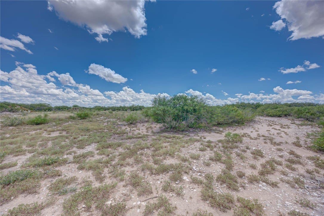 25 acres in Duval County - photo 6