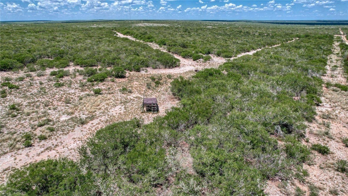 25 acres in Duval County - photo 10