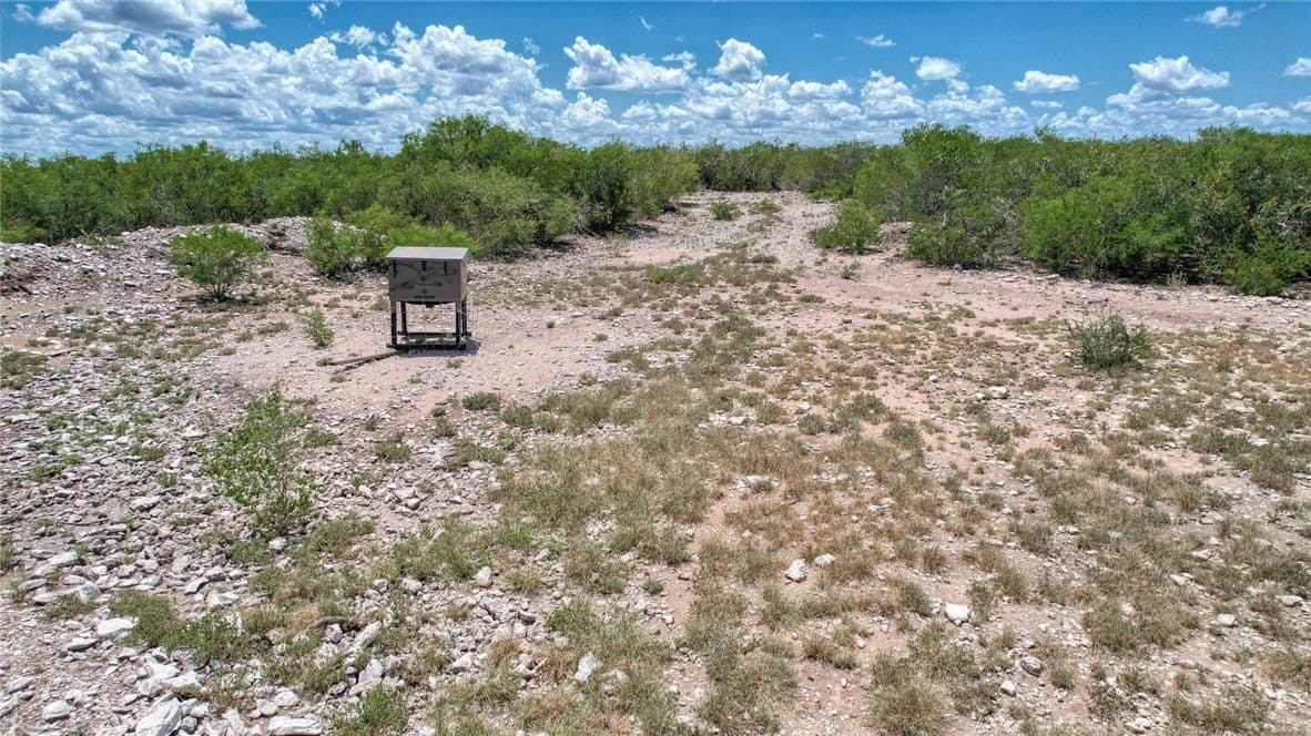 25 acres in Duval County - photo 17
