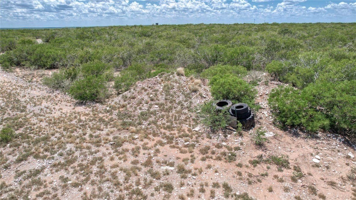 25 acres in Duval County - photo 13