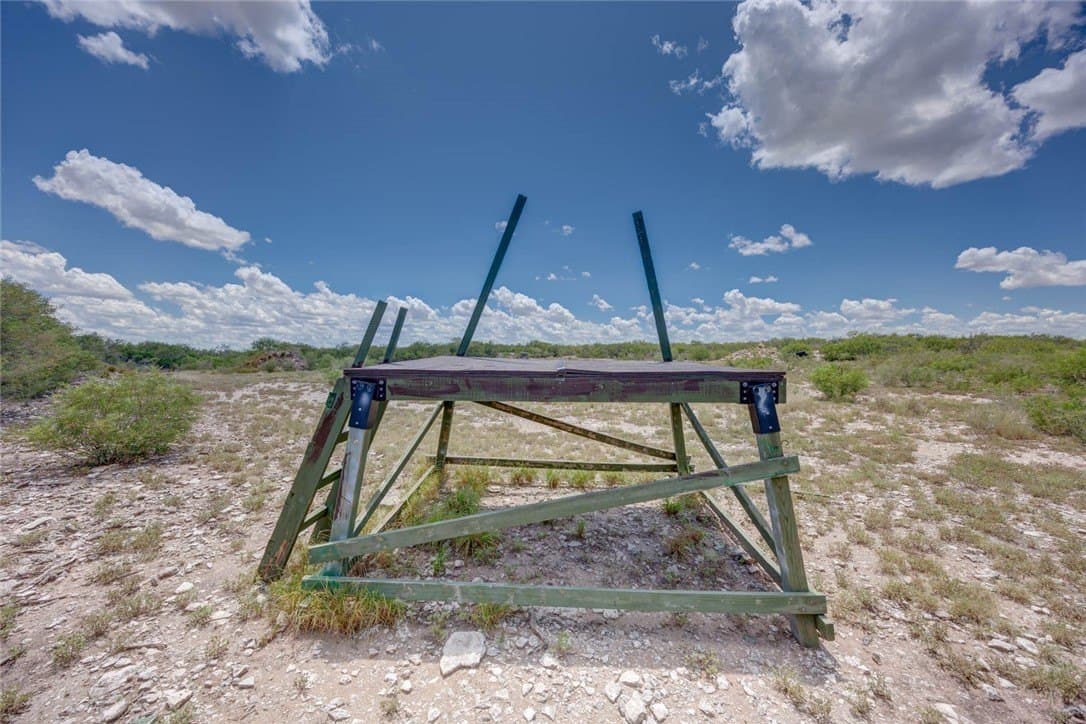 25 acres in Duval County - photo 5