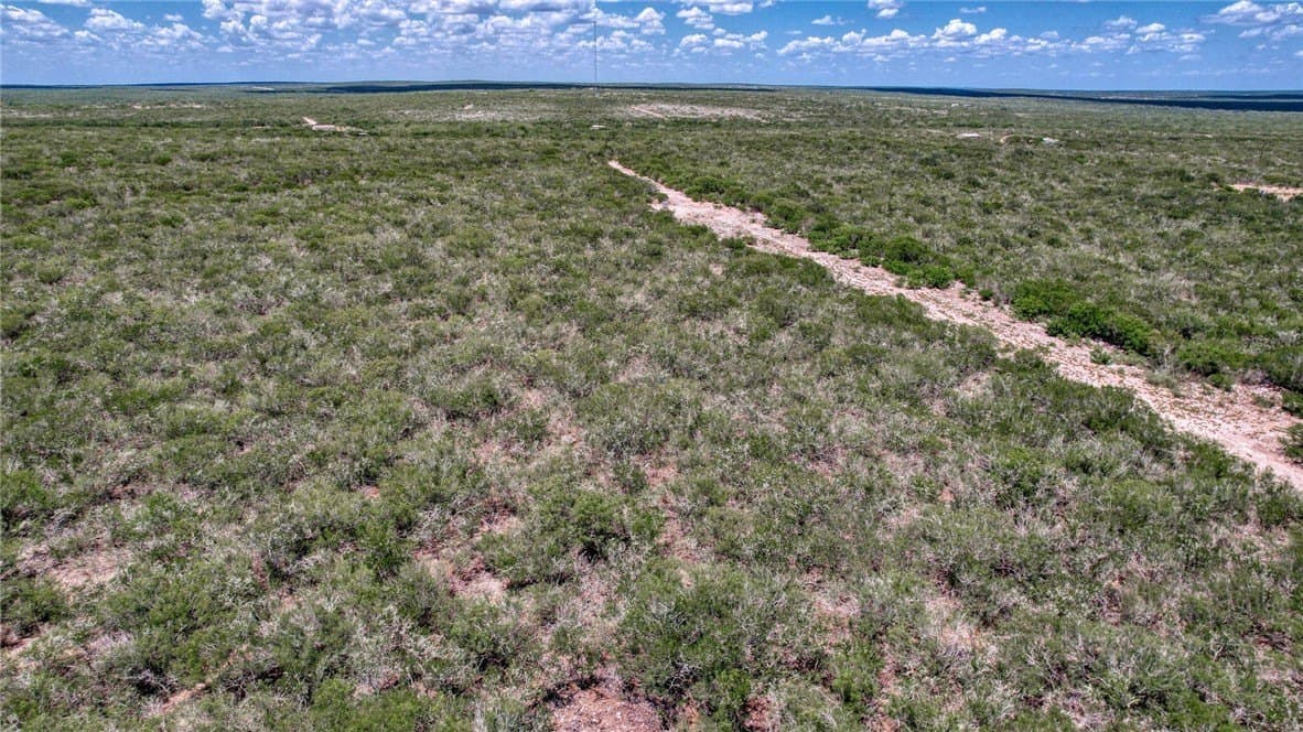 25 acres in Duval County - photo 14
