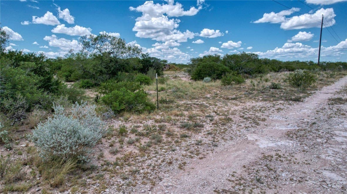 25 acres in Duval County - photo 21