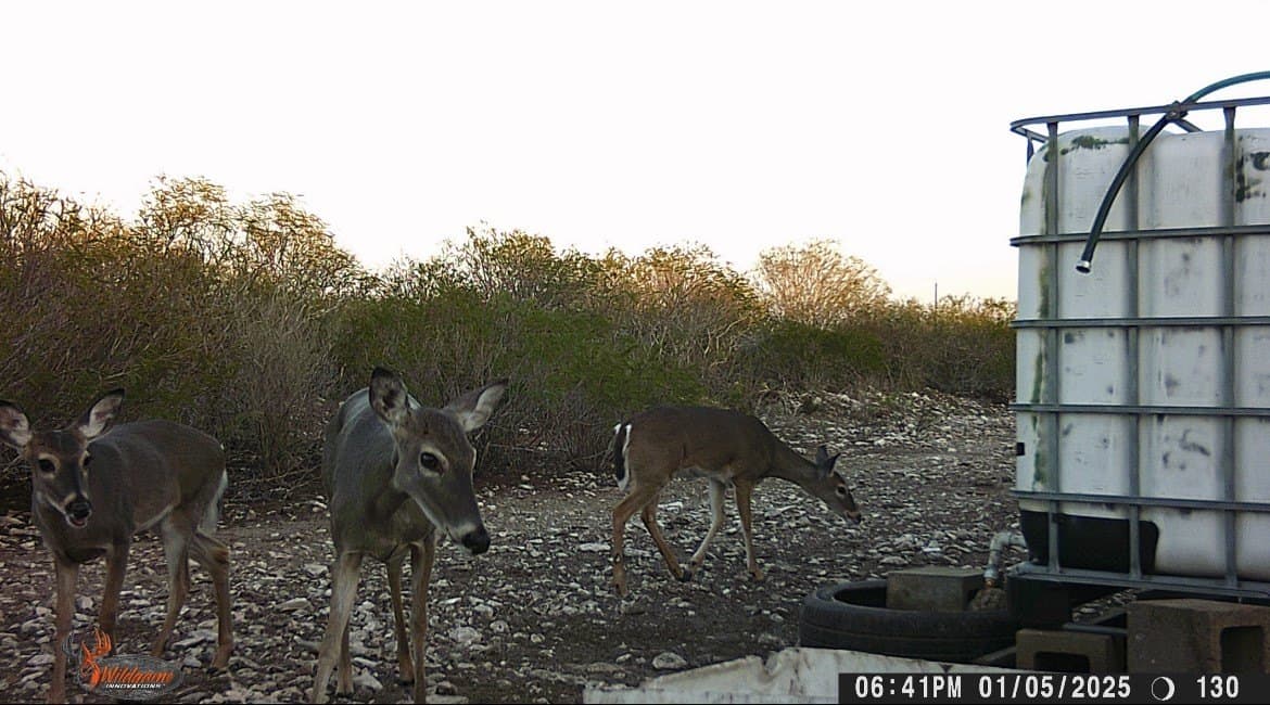 25 acres in Duval County - photo 30