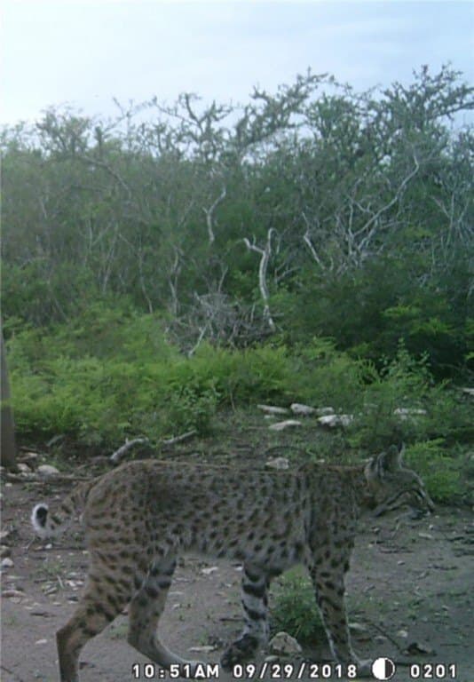 25 acres in Duval County - photo 22
