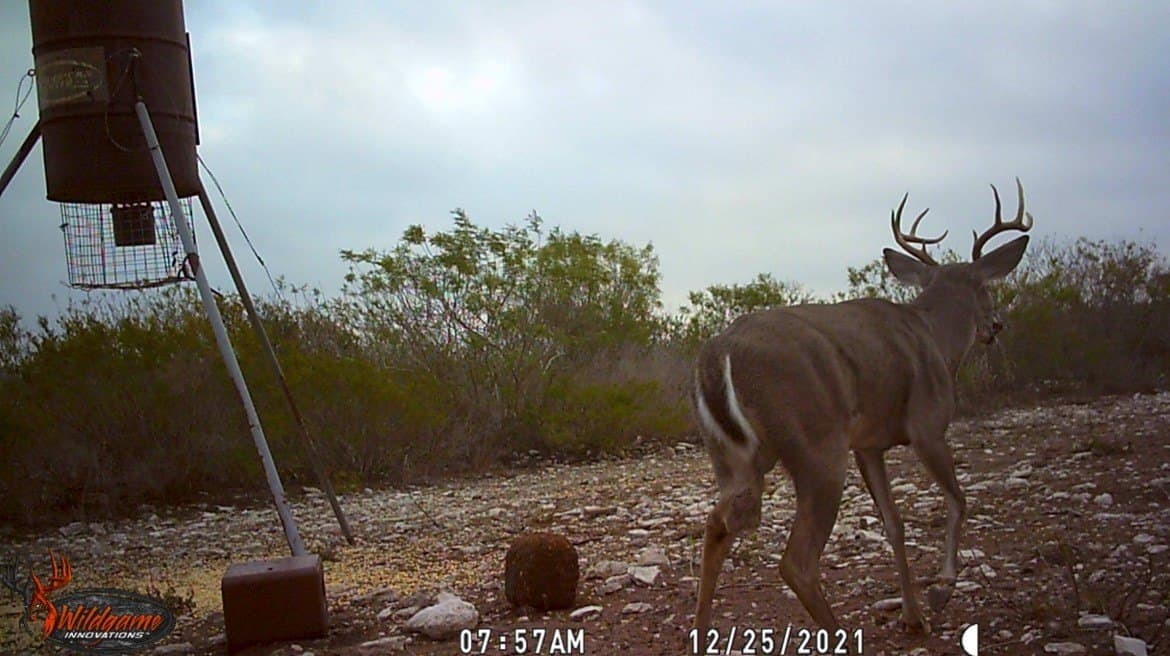 25 acres in Duval County - photo 23