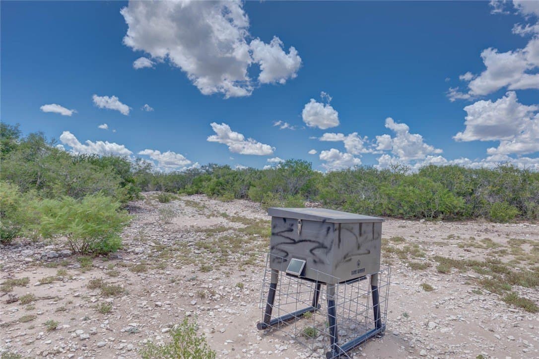 25 acres in Duval County - photo 8