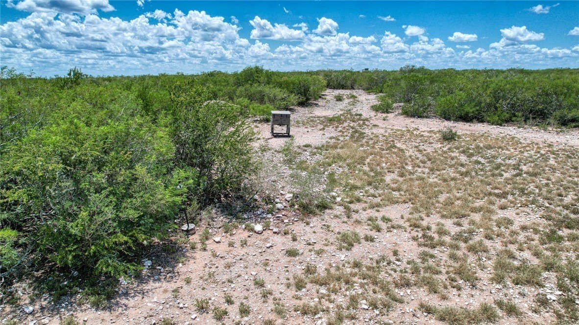 25 acres in Duval County - photo 16