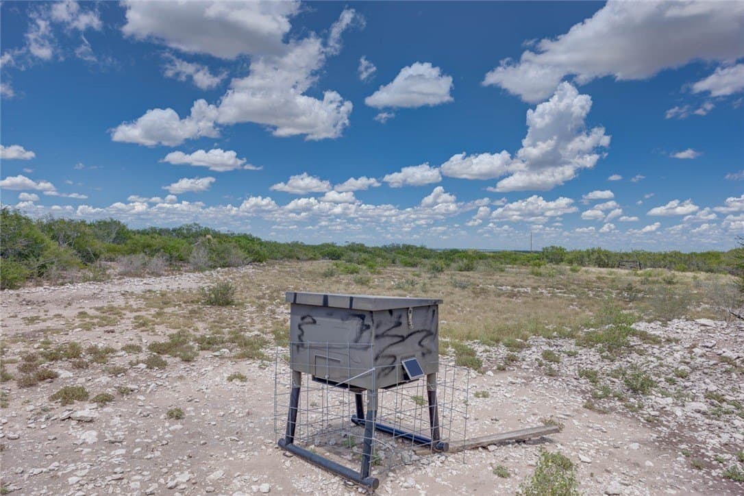 25 acres in Duval County - photo 7