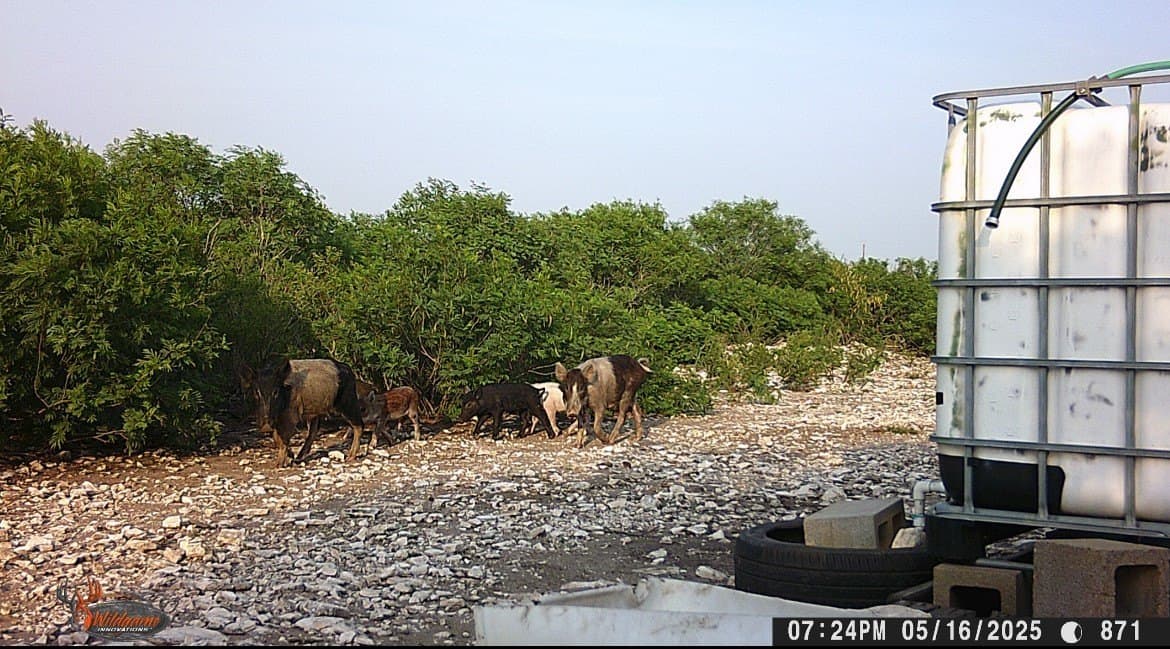 25 acres in Duval County - photo 37