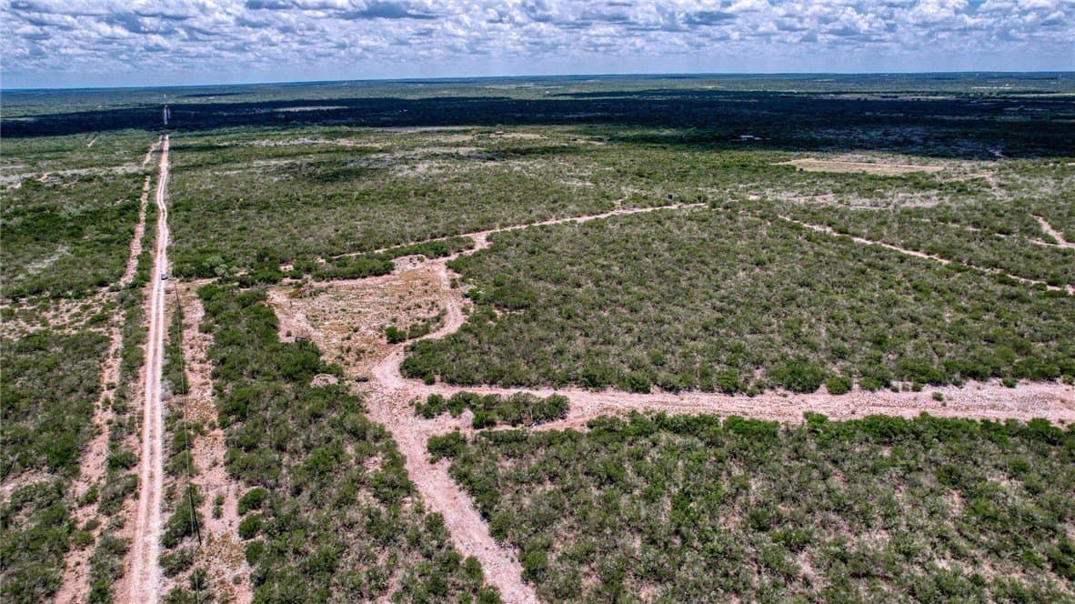 25 acres in Duval County - photo 15