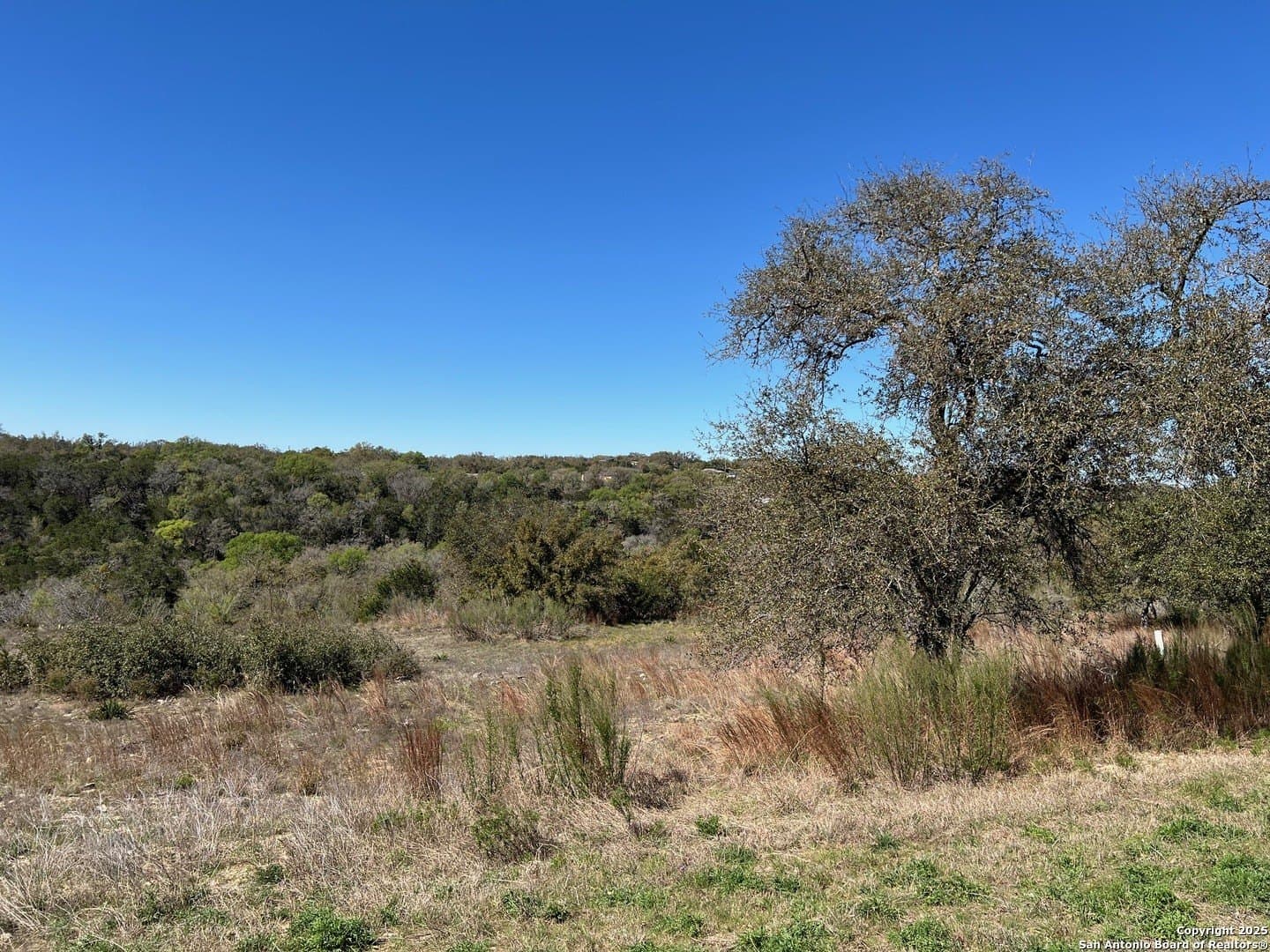 1.56 acres in Comal County - photo 6