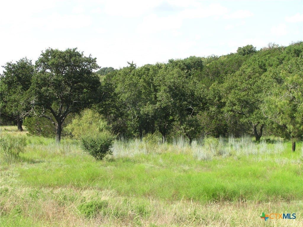 10.7 acres in Hamilton County - photo 2